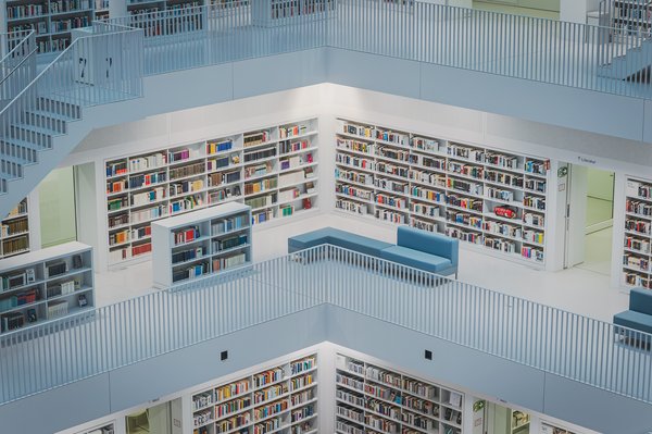 114A7196 Enhanced Nr